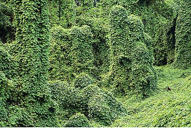 《黎明杀机》X《异形》预告 联动现已上线